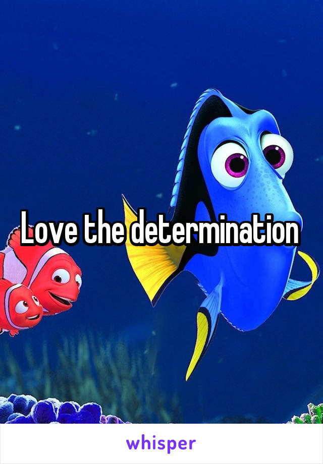 Love the determination 