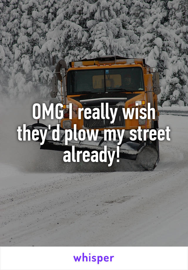 OMG I really wish they'd plow my street already! 