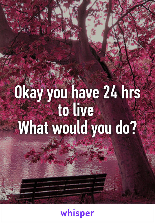 Okay you have 24 hrs to live 
What would you do?