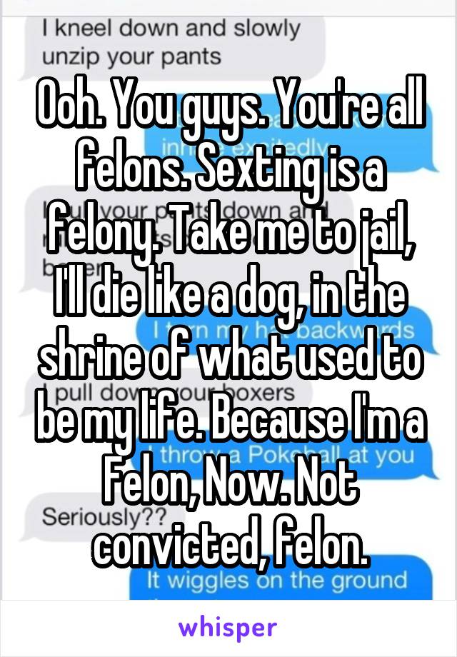 Ooh. You guys. You're all felons. Sexting is a felony. Take me to jail, I'll die like a dog, in the shrine of what used to be my life. Because I'm a Felon, Now. Not convicted, felon.