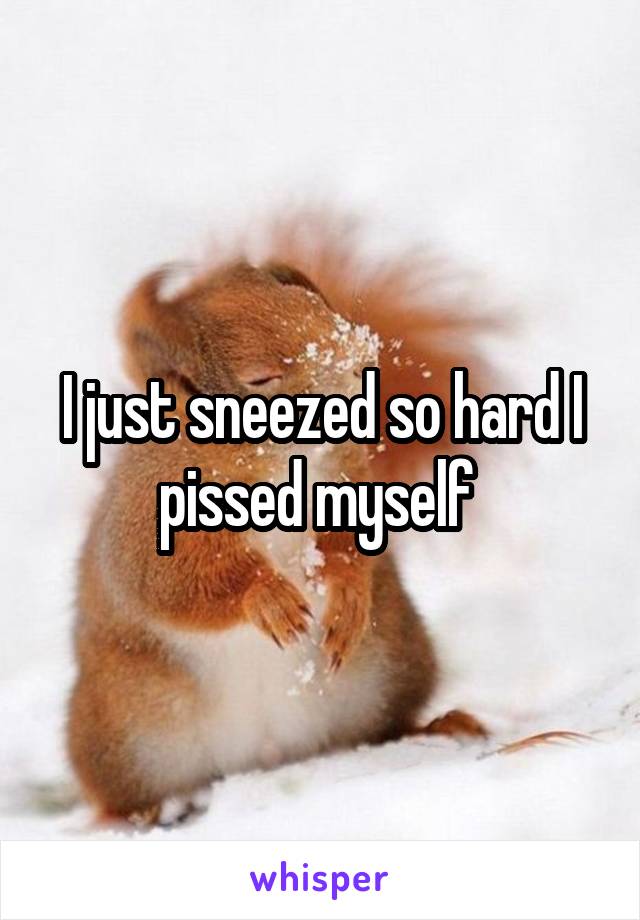 I just sneezed so hard I pissed myself 