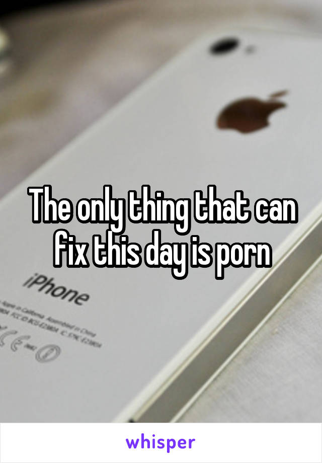 The only thing that can fix this day is porn