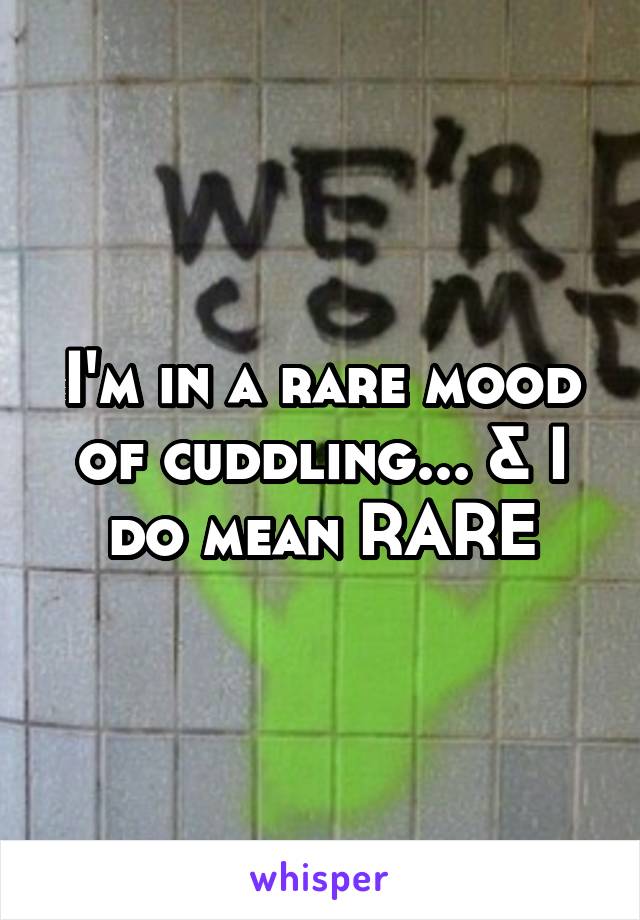 I'm in a rare mood of cuddling... & I do mean RARE