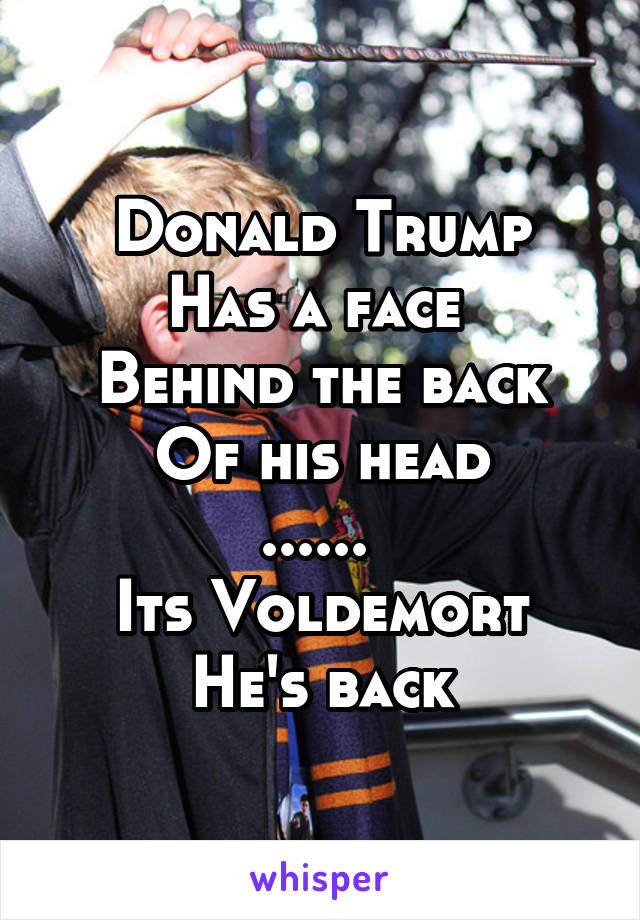 Donald Trump
Has a face 
Behind the back
Of his head
...... 
Its Voldemort
He's back
