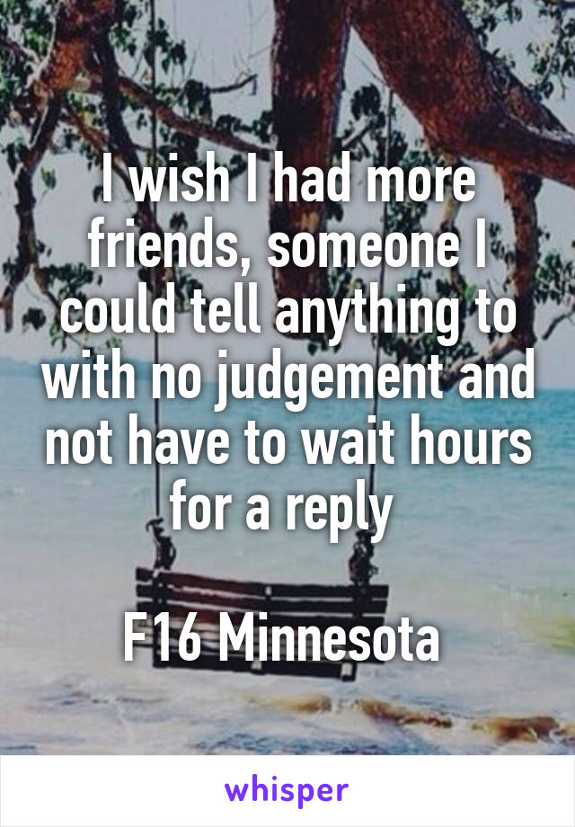 I wish I had more friends, someone I could tell anything to with no judgement and not have to wait hours for a reply 

F16 Minnesota 