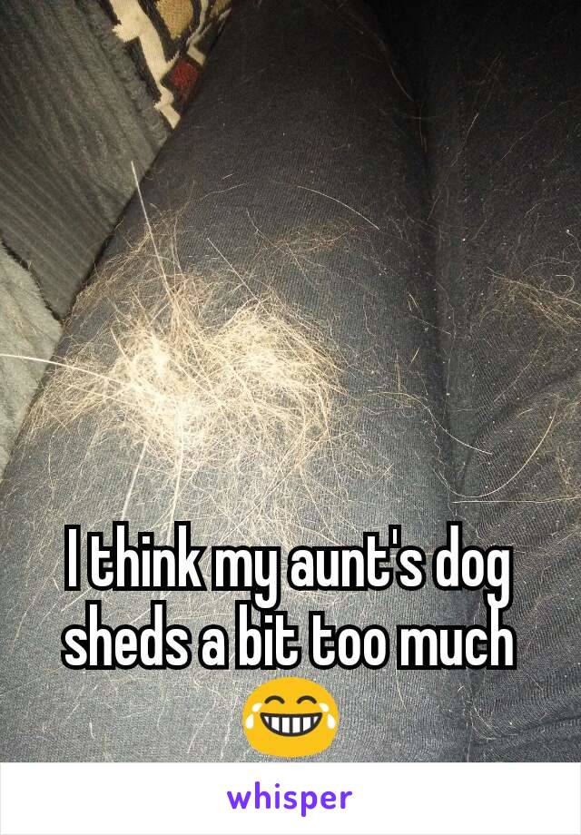 I think my aunt's dog sheds a bit too much 😂