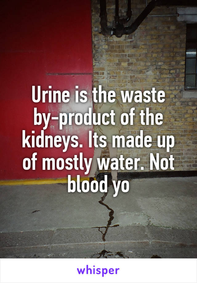 Urine is the waste by-product of the kidneys. Its made up of mostly water. Not blood yo