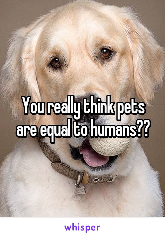 You really think pets are equal to humans??