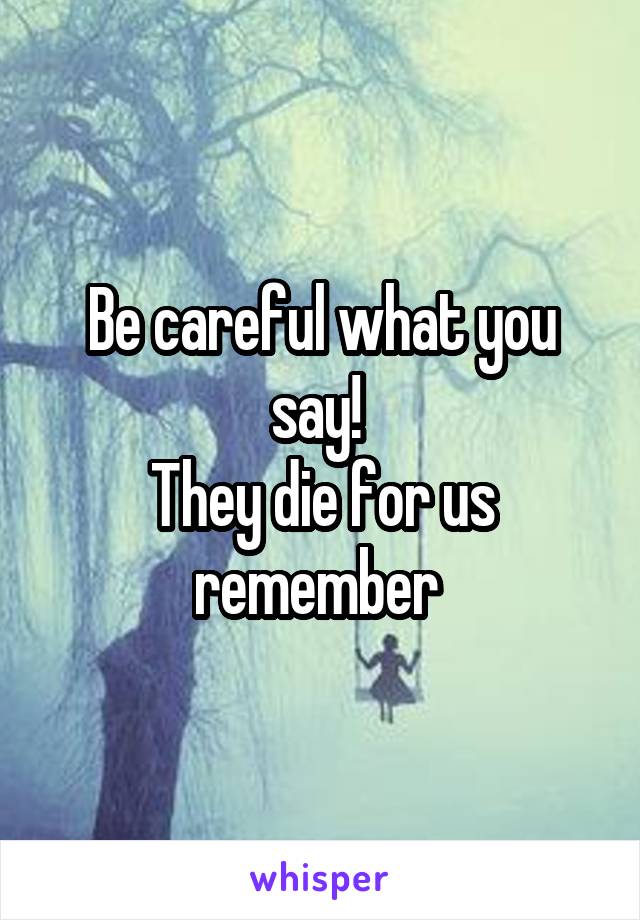 Be careful what you say! 
They die for us remember 