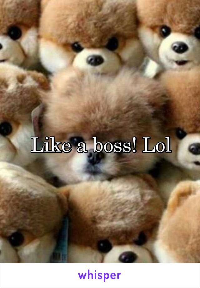 Like a boss! Lol
