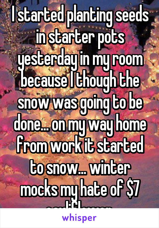 I started planting seeds in starter pots yesterday in my room because I though the snow was going to be done... on my way home from work it started to snow... winter mocks my hate of $7 cauliflower.