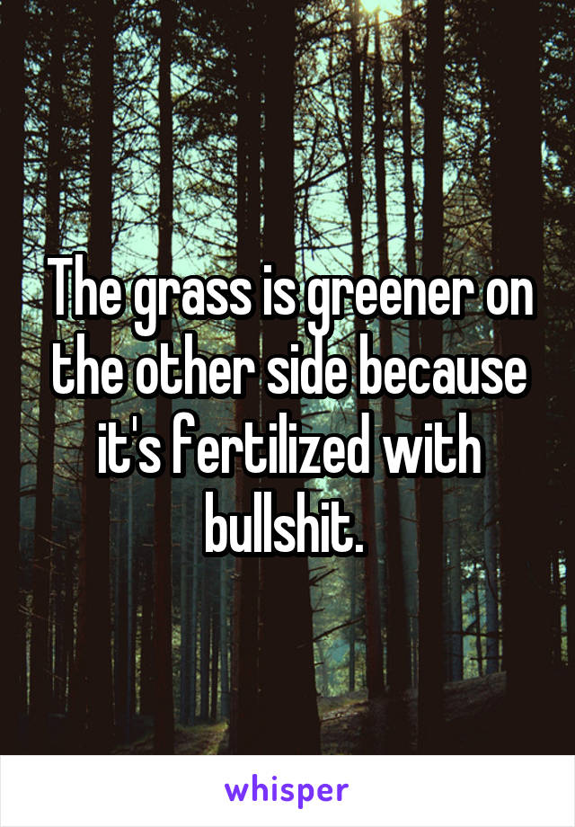 The grass is greener on the other side because it's fertilized with bullshit. 