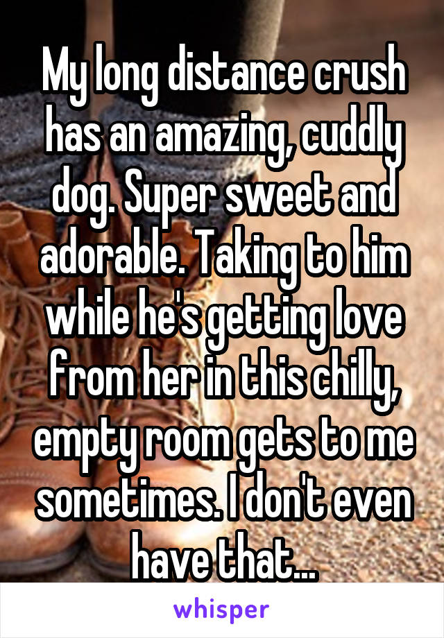 My long distance crush has an amazing, cuddly dog. Super sweet and adorable. Taking to him while he's getting love from her in this chilly, empty room gets to me sometimes. I don't even have that...