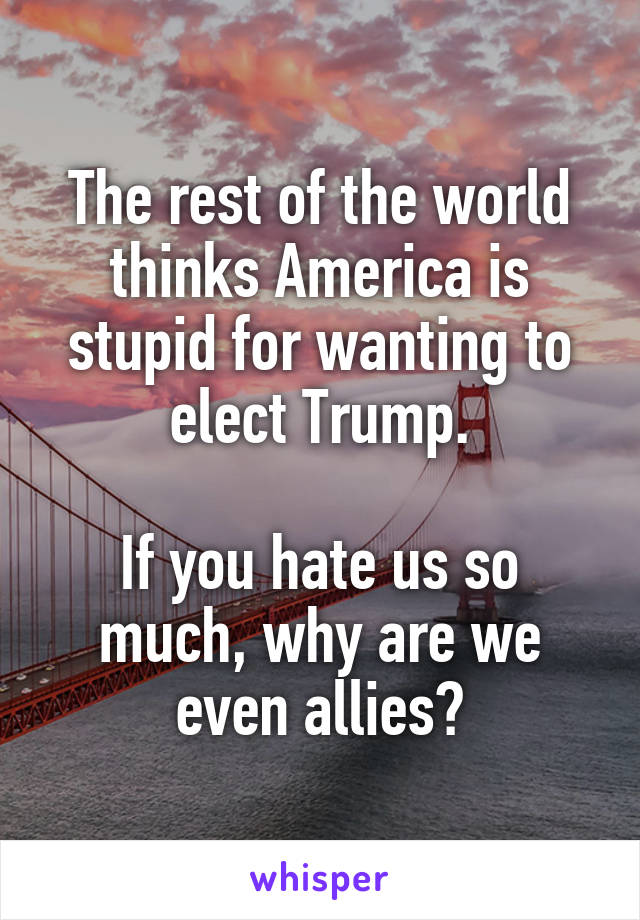 The rest of the world thinks America is stupid for wanting to elect Trump.

If you hate us so much, why are we even allies?