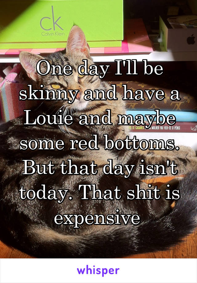 One day I'll be skinny and have a Louie and maybe some red bottoms. But that day isn't today. That shit is expensive 