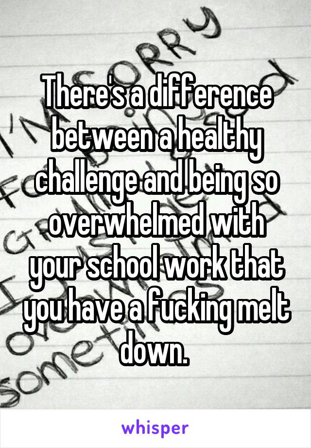 There's a difference between a healthy challenge and being so overwhelmed with your school work that you have a fucking melt down. 