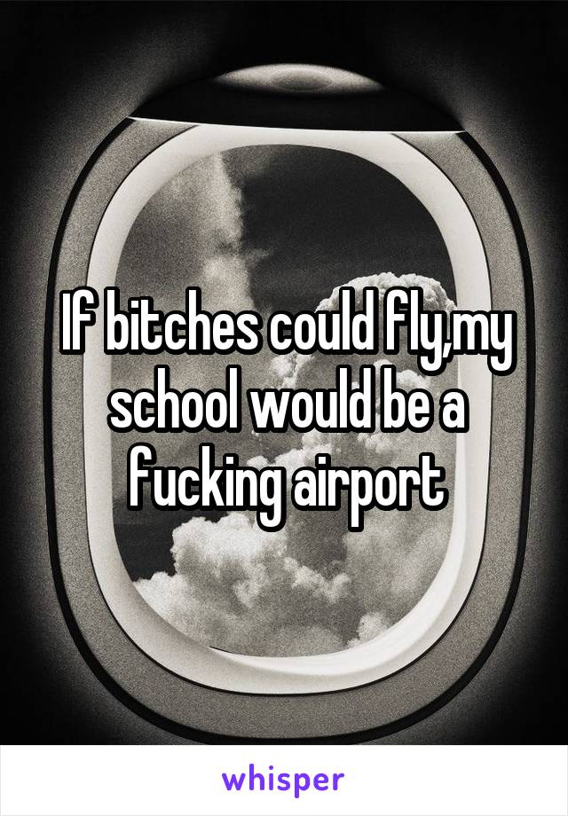 If bitches could fly,my school would be a fucking airport