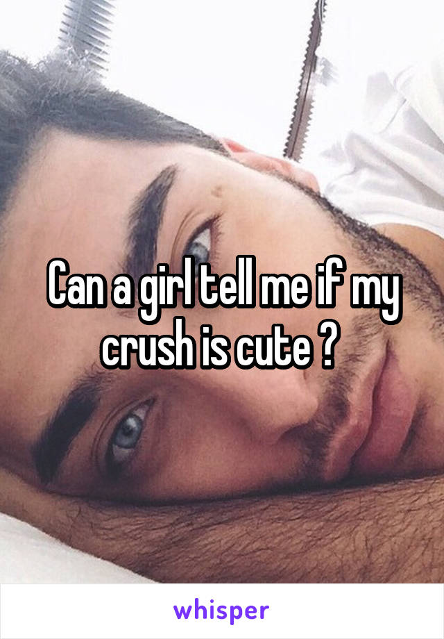 Can a girl tell me if my crush is cute ? 