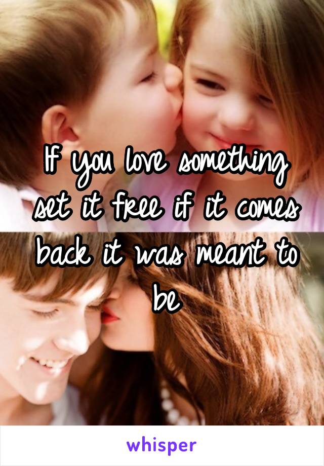 If you love something set it free if it comes back it was meant to be