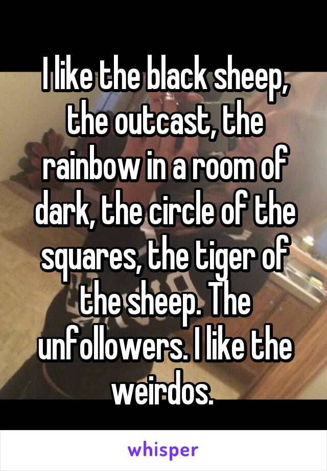 I like the black sheep, the outcast, the rainbow in a room of dark, the circle of the squares, the tiger of the sheep. The unfollowers. I like the weirdos. 