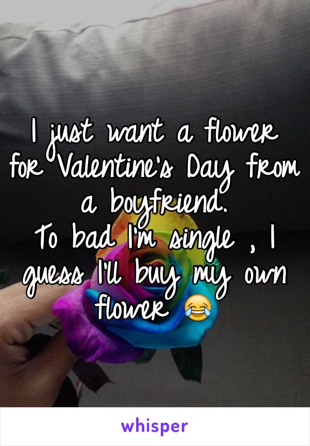 I just want a flower for Valentine's Day from a boyfriend. 
To bad I'm single , I guess I'll buy my own flower 😂