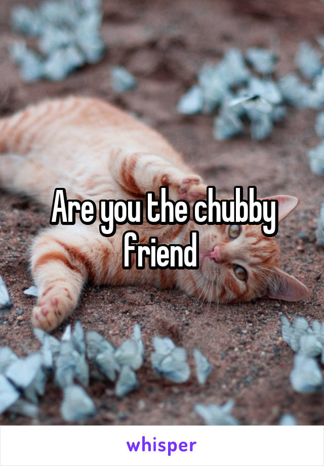 Are you the chubby friend 