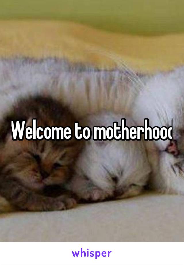 Welcome to motherhood