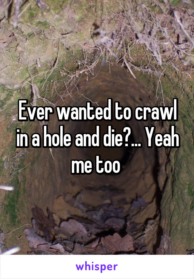 Ever wanted to crawl in a hole and die?... Yeah me too 