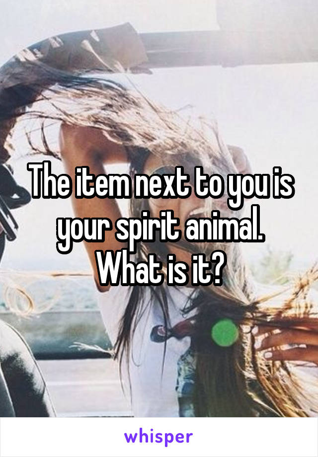 The item next to you is your spirit animal. What is it?