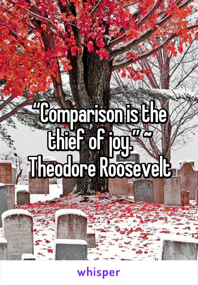 “Comparison is the thief of joy.” ~ Theodore Roosevelt