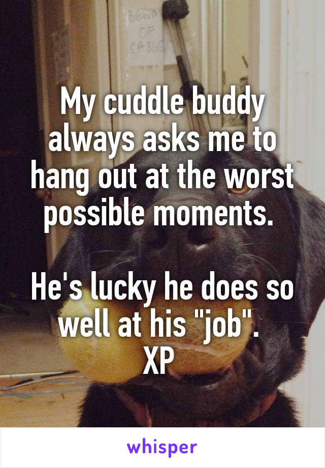 My cuddle buddy always asks me to hang out at the worst possible moments. 

He's lucky he does so well at his "job". 
XP 