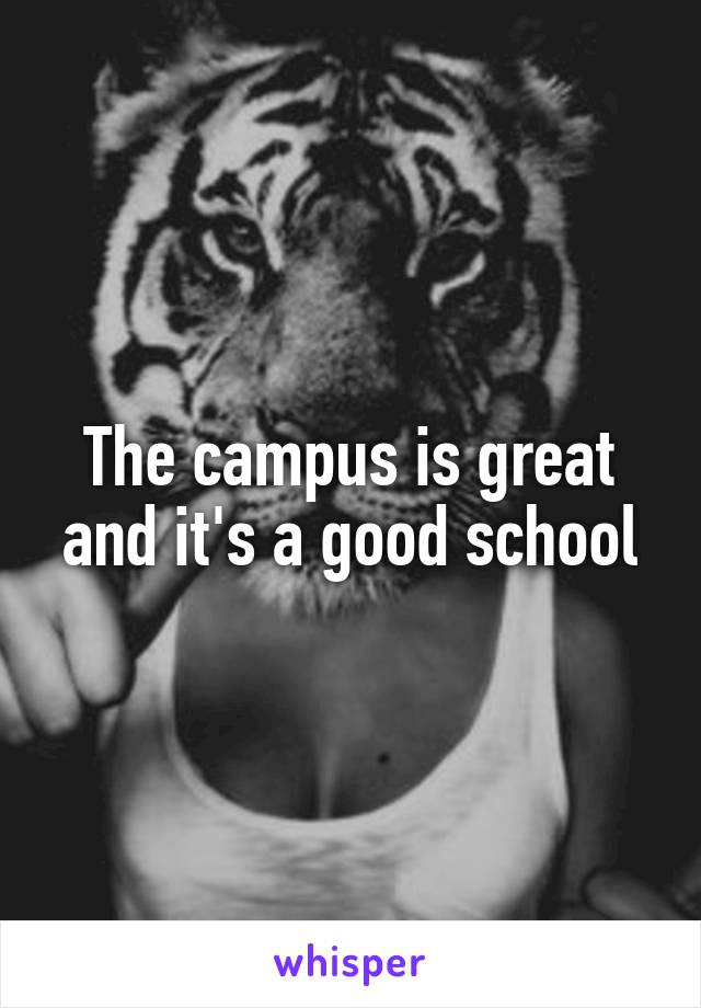 The campus is great and it's a good school