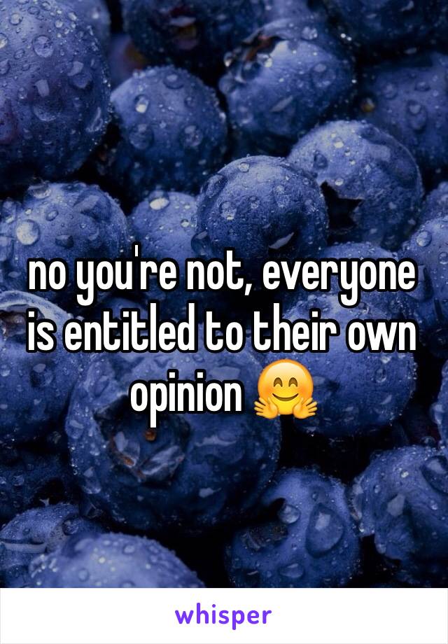 no you're not, everyone is entitled to their own opinion 🤗