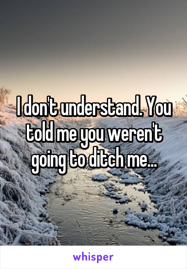 I don't understand. You told me you weren't going to ditch me...