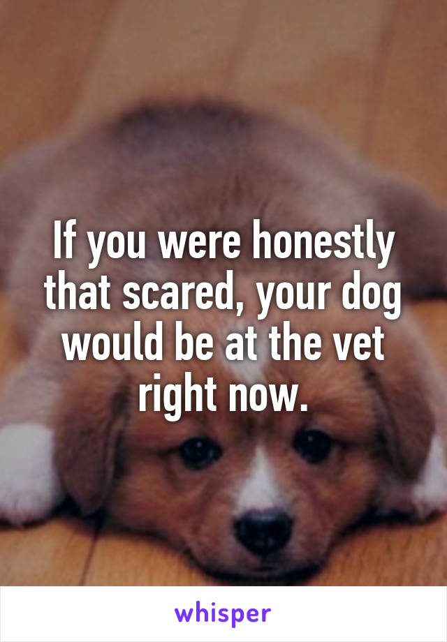 If you were honestly that scared, your dog would be at the vet right now.