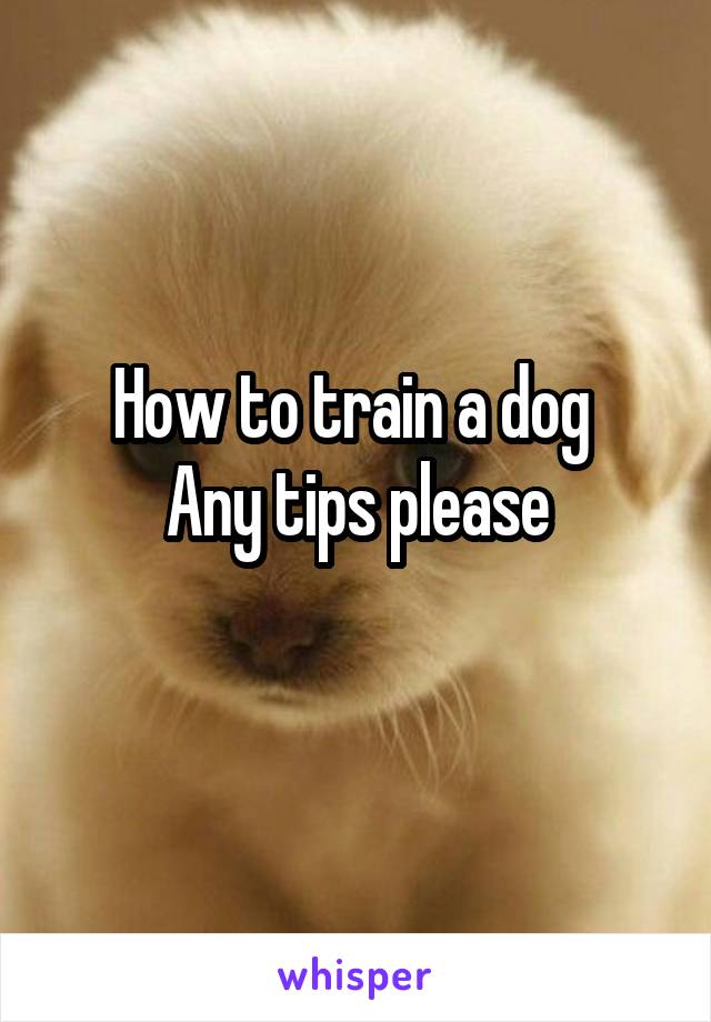 How to train a dog 
Any tips please
 