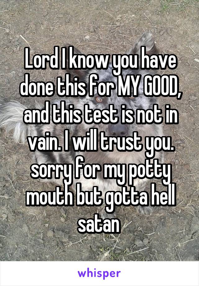 Lord I know you have done this for MY GOOD, and this test is not in vain. I will trust you. sorry for my potty mouth but gotta hell satan 