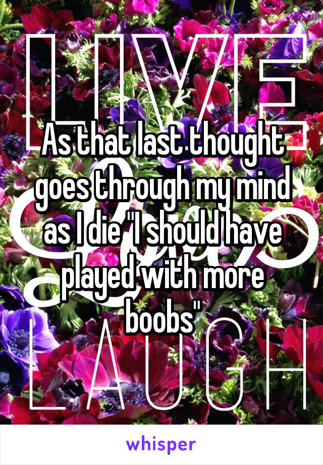 As that last thought goes through my mind as I die "I should have played with more boobs"