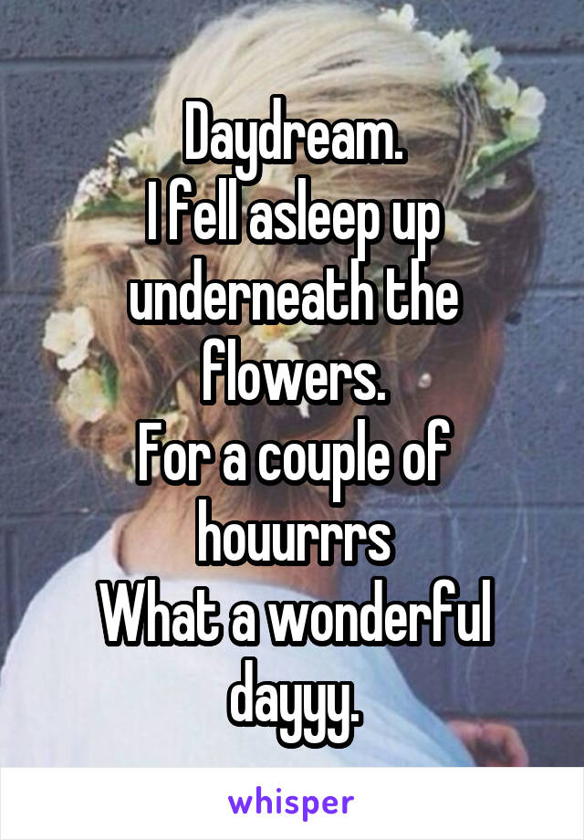 Daydream.
I fell asleep up underneath the flowers.
For a couple of houurrrs
What a wonderful dayyy.