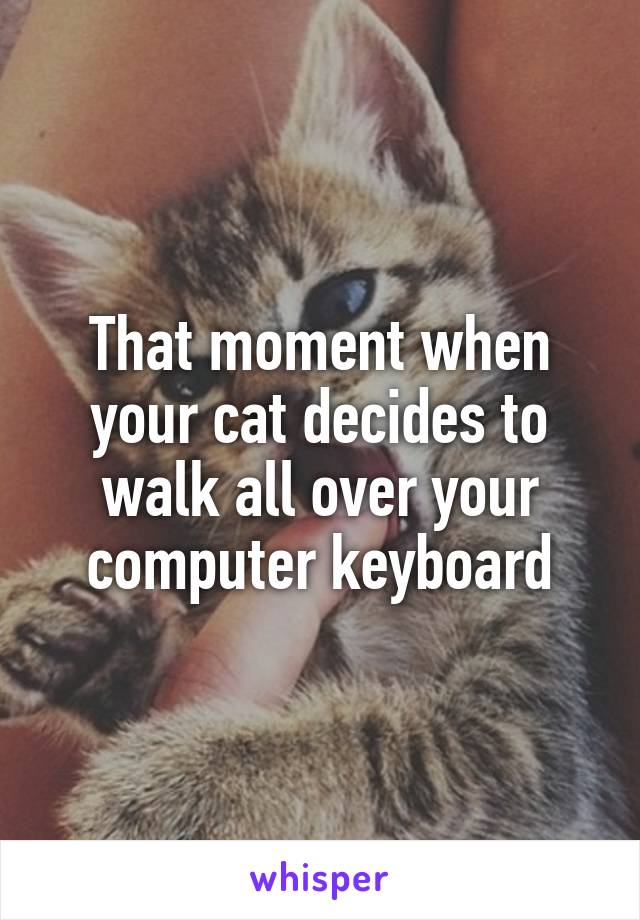 That moment when your cat decides to walk all over your computer keyboard