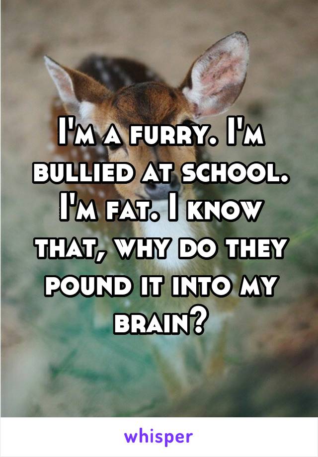 I'm a furry. I'm bullied at school. I'm fat. I know that, why do they pound it into my brain?