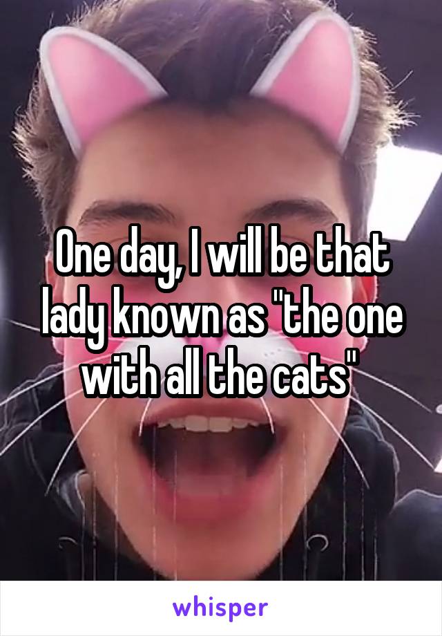 One day, I will be that lady known as "the one with all the cats" 