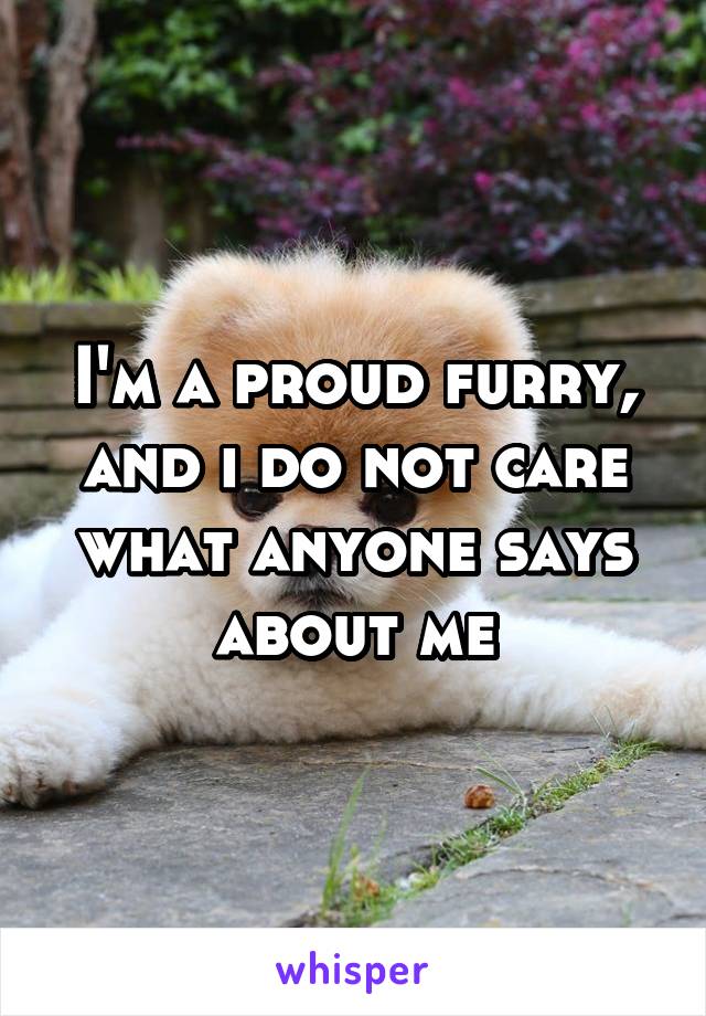 I'm a proud furry, and i do not care what anyone says about me
