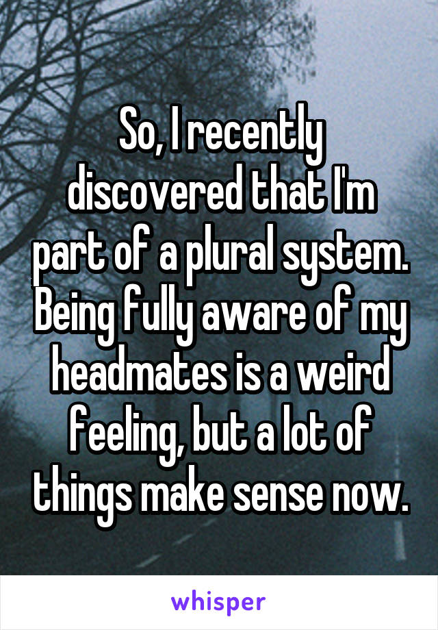So, I recently discovered that I'm part of a plural system. Being fully aware of my headmates is a weird feeling, but a lot of things make sense now.