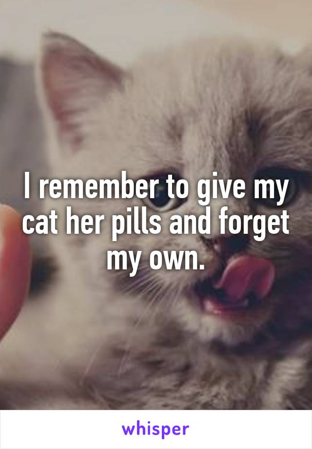 I remember to give my cat her pills and forget my own.