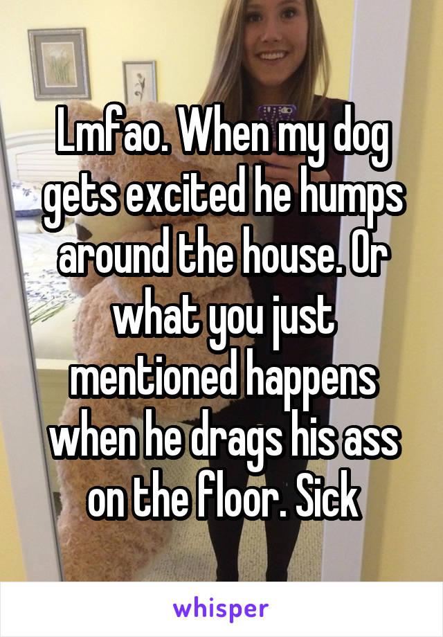 Lmfao. When my dog gets excited he humps around the house. Or what you just mentioned happens when he drags his ass on the floor. Sick