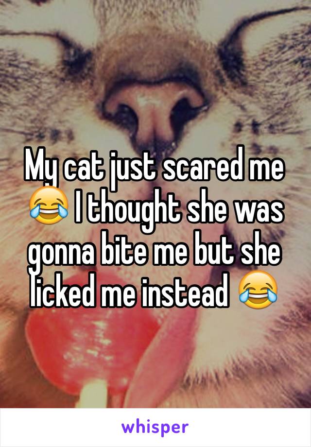 My cat just scared me 😂 I thought she was gonna bite me but she licked me instead 😂