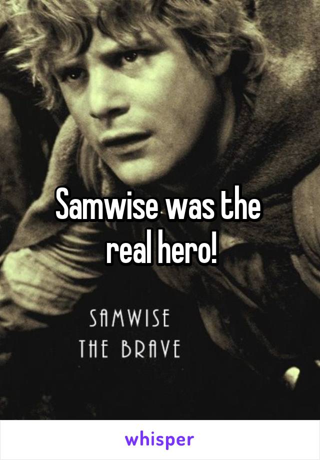 Samwise was the 
real hero!