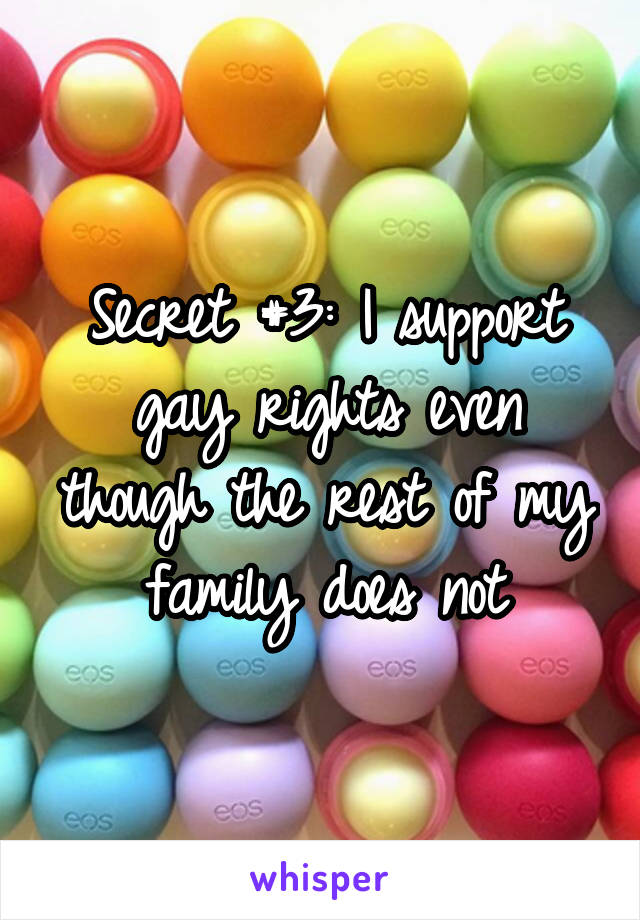 Secret #3: I support gay rights even though the rest of my family does not