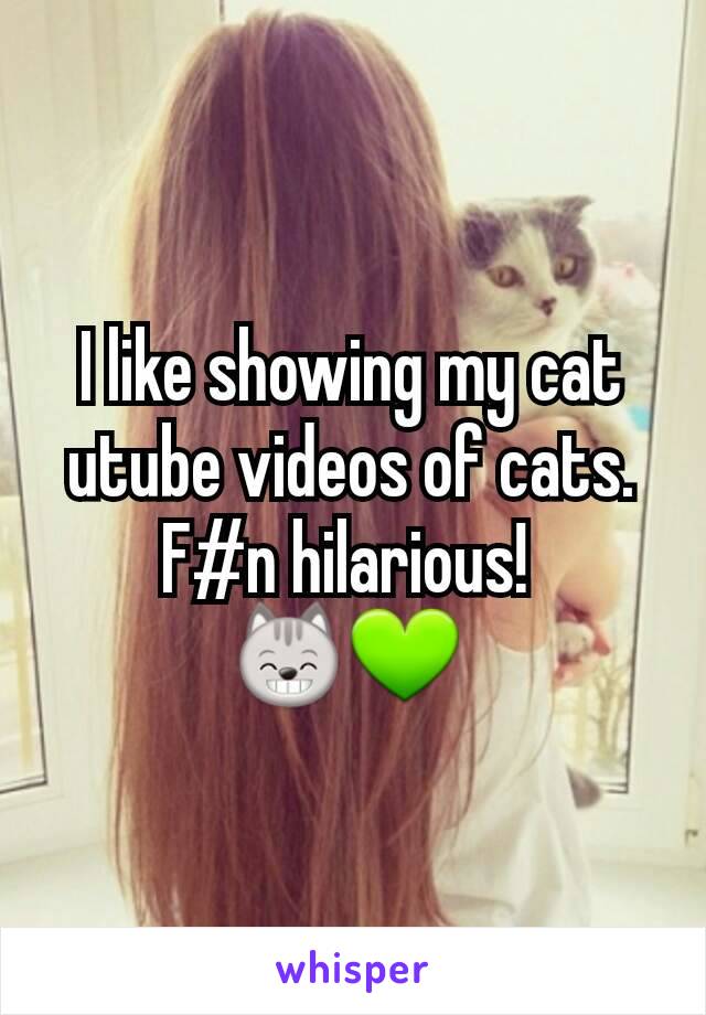I like showing my cat utube videos of cats. F#n hilarious! 
😸💚 